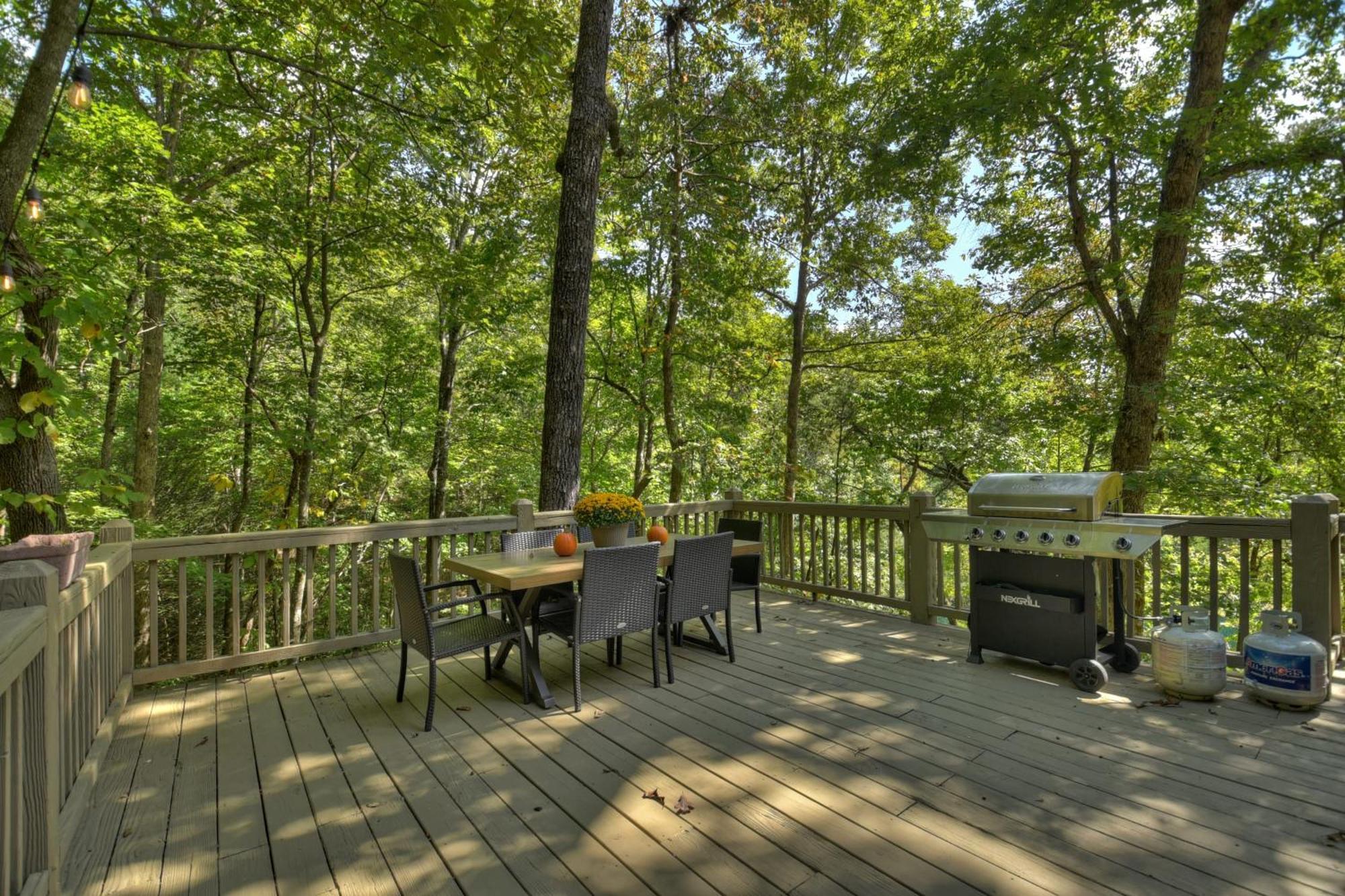 Waywish Waterfront Cabin In Blue Ridge Mountains Екстер'єр фото